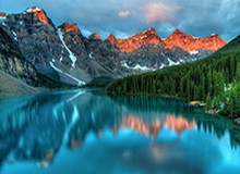 开云网站-【观察】自由市场还剩哪些好球员 戴维斯科沃尔领衔